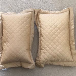 Pair of throw pillows